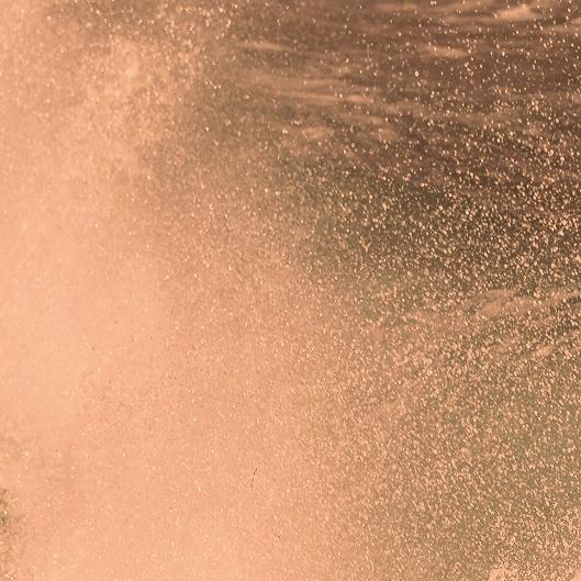 The Bronzed Duo (2 tans)